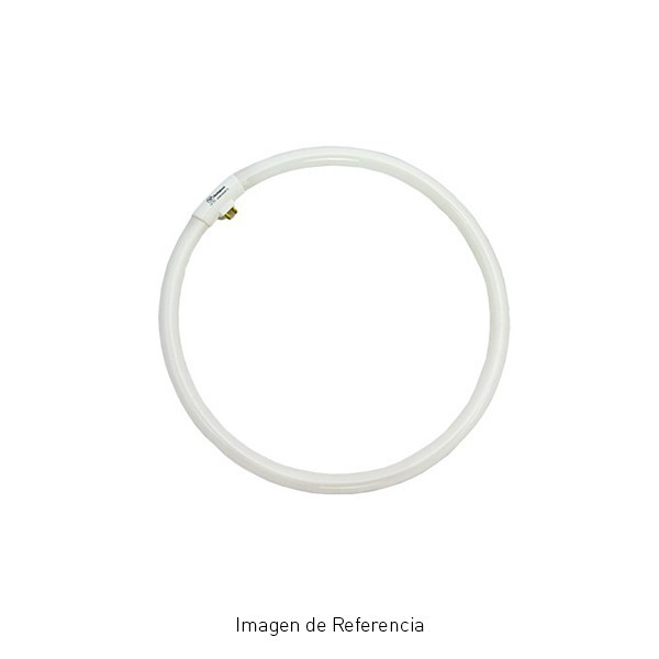 Tubo Fluorescente Circular 22W T9  Luz Día Westinghouse